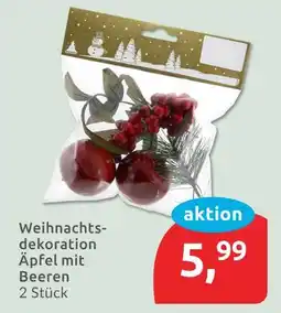 Budni Weihnachtsdekoration äpfel mit beeren Angebot