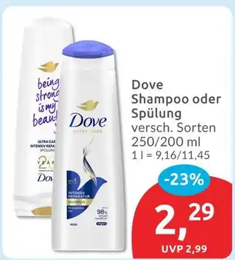 Budni Dove shampoo Angebot