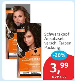 Budni Schwarzkopf ansatzset Angebot