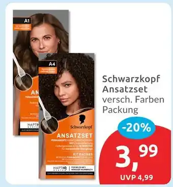 Budni Schwarzkopf ansatzset Angebot