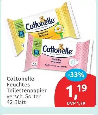 Budni Cottonelle feuchtes toilettenpapier Angebot