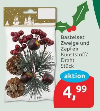Budni Bastelset zweige und zapfen Angebot