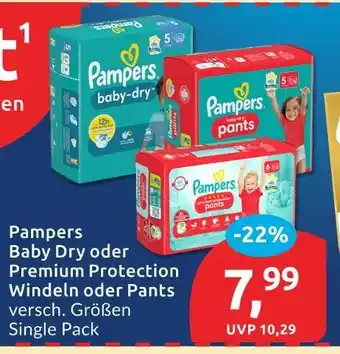 Budni Pampers baby dry Angebot