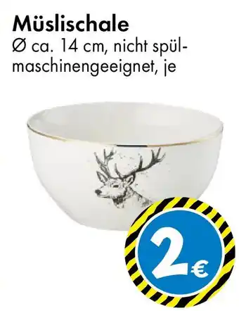 TEDi Müslischale Angebot