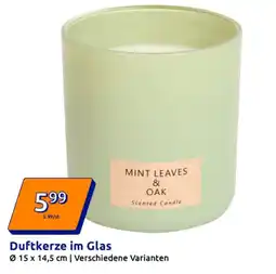 Action Duftkerze im Glas Angebot