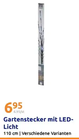 Action Gartenstecker mit LED- Licht Angebot