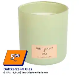 Action Mint leaves & oak Angebot