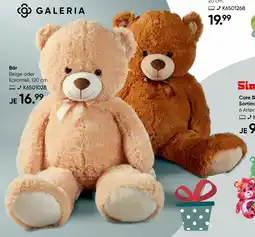 Galeria GALERIA Bär Angebot