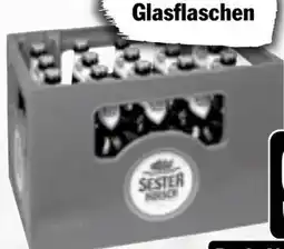 HIT Sester Kölsch Angebot