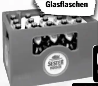 HIT Sester Kölsch Angebot