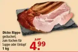 Multi Markt Dicke Rippe Angebot