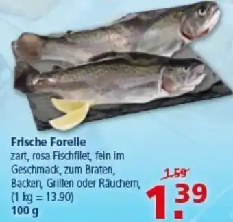 Multi Markt Frische Forelle Angebot