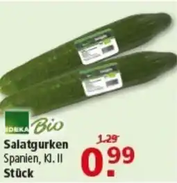 Multi Markt EDEKA Bio Salatgurken Angebot