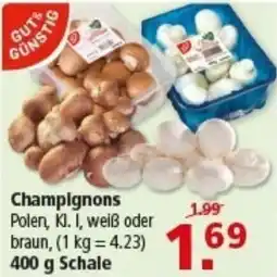 Multi Markt GUT& GÜNSTIG Champignons Angebot