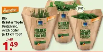 Multi Markt demeter Kräuter Töpfe Angebot