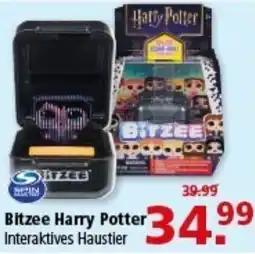 Multi Markt Bitzee Harry Potter Angebot