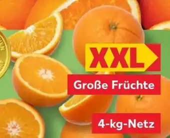 Kaufland Orangen Riesen XXL Angebot