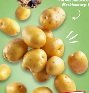 Kaufland Speisekartoffeln Angebot