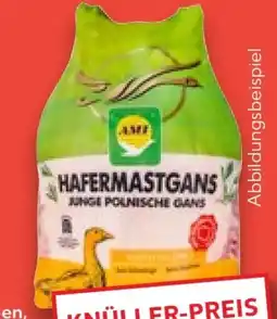 Kaufland AMI Hafermastgans Angebot