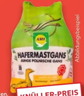 Kaufland AMI Hafermastgans Angebot
