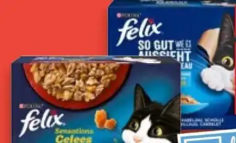 Kaufland Purina Felix Katzennahrung Angebot