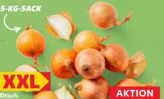 Kaufland Zwiebeln XXL Angebot