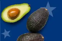 Kaufland Avocado Angebot
