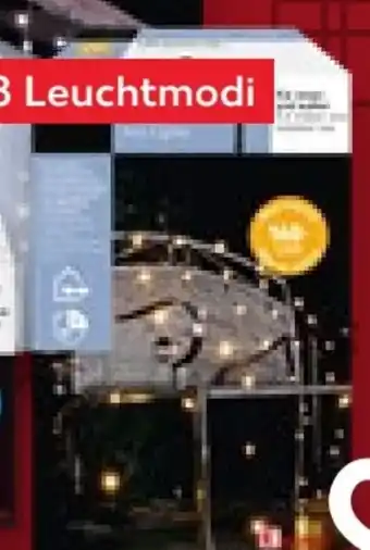 Kaufland Liv&Bo LED Lichternetz Angebot