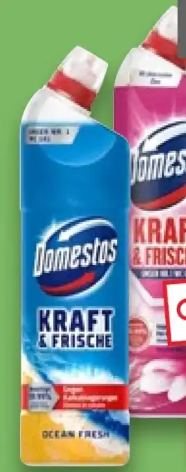 Kaufland Domestos WC Gel Kraft & Frische Angebot