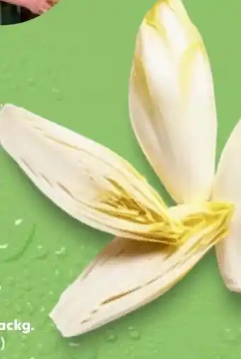 Kaufland Chicoree Angebot