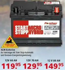 Multi Markt PANTHER AGM-Batterien Angebot