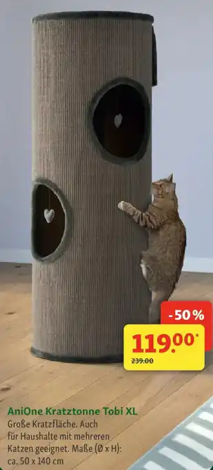 Fressnapf AniOne Kratztonne Tobi XL Angebot