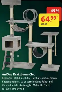 Fressnapf AniOne Kratzbaum Cleo Angebot