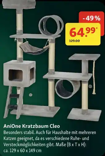 Fressnapf AniOne Kratzbaum Cleo Angebot