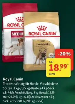 Fressnapf Royal Canin Trockennahrung für Hunde Angebot