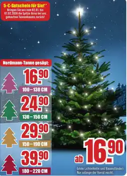 B1 Discount Baumarkt Nordmann-Tanne Angebot