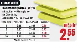 B1 Discount Baumarkt Trennwandplatte TWP1 Angebot