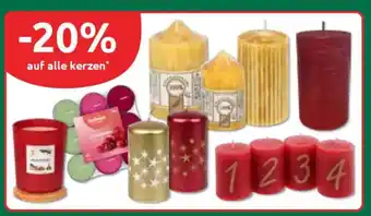 Budni auf alle kerzen Angebot