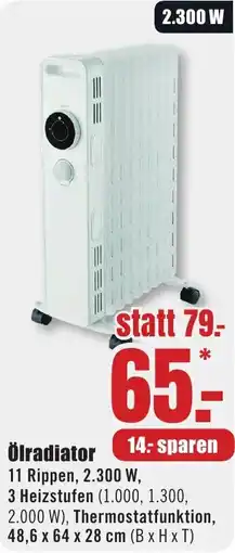 B1 Discount Baumarkt Ölradiator Angebot