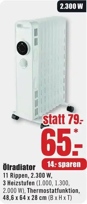 B1 Discount Baumarkt Ölradiator Angebot