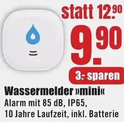 B1 Discount Baumarkt Wassermelder mini Angebot