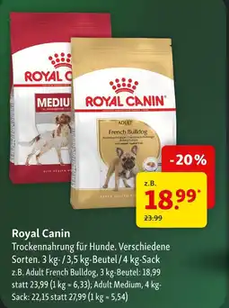 Fressnapf Royal canin trockenfutter für hunde adult french bulldog Angebot