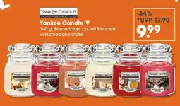 V Markt Yankee candle yankee candle Angebot