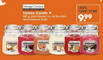 V Markt Yankee candle yankee candle Angebot