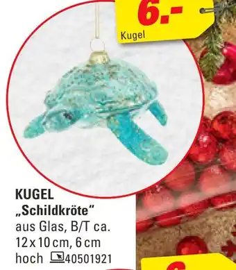 Höffner Kugel schildkröte Angebot