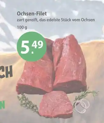 V Markt Ochsen-filet Angebot