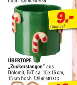 Höffner Übertopf zuckerstangen Angebot