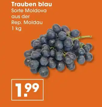 V Markt Trauben blau Angebot