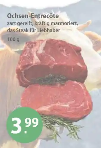 V Markt Ochsen-entrecôte Angebot