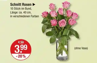 V Markt Schnitt rosen Angebot